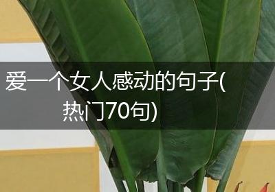 爱一个女人感动的句子(热门70句)