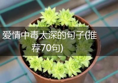 爱情中毒太深的句子(推荐70句)