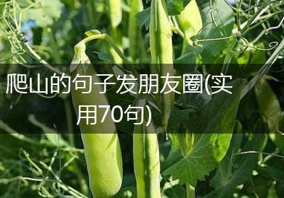 爬山的句子发朋友圈(实用70句)