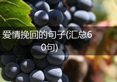 爱情挽回的句子(汇总60句)