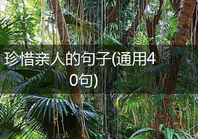 珍惜亲人的句子(通用40句)