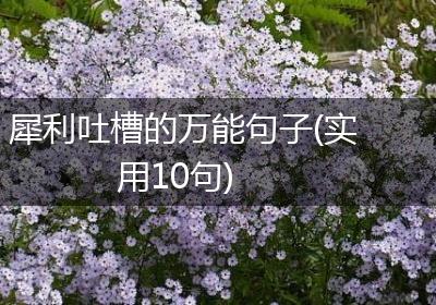 犀利吐槽的万能句子(实用10句)