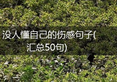 没人懂自己的伤感句子(汇总50句)