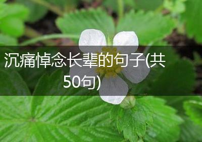 沉痛悼念长辈的句子(共50句)