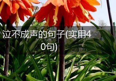 泣不成声的句子(实用40句)