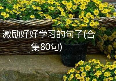 激励好好学习的句子(合集80句)