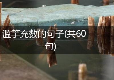 滥竽充数的句子(共60句)
