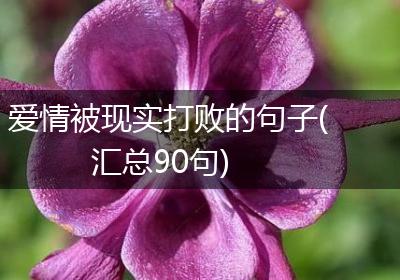 爱情被现实打败的句子(汇总90句)