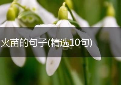 火苗的句子(精选10句)