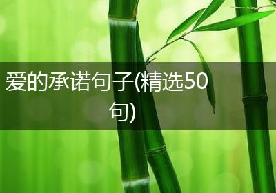 爱的承诺句子(精选50句)