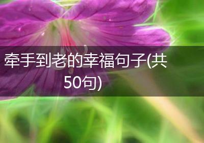 牵手到老的幸福句子(共50句)
