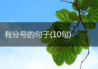 有分号的句子(10句)