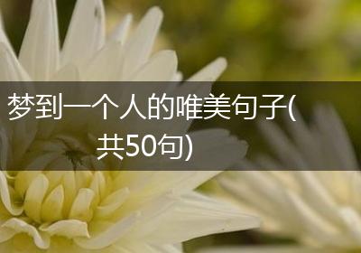 梦到一个人的唯美句子(共50句)