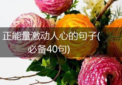 正能量激动人心的句子(必备40句)