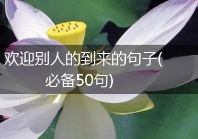 欢迎别人的到来的句子(必备50句)