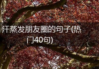 汗蒸发朋友圈的句子(热门40句)