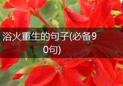 浴火重生的句子(必备90句)