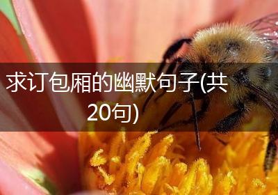 求订包厢的幽默句子(共20句)