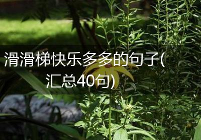 滑滑梯快乐多多的句子(汇总40句)