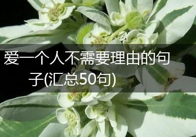 爱一个人不需要理由的句子(汇总50句)