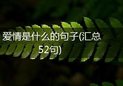 爱情是什么的句子(汇总52句)