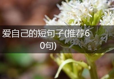 爱自己的短句子(推荐60句)