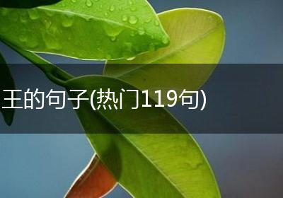 王的句子(热门119句)