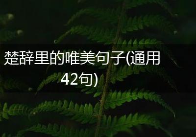 楚辞里的唯美句子(通用42句)