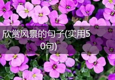欣赏风景的句子(实用50句)