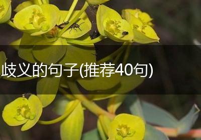 歧义的句子(推荐40句)
