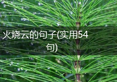 火烧云的句子(实用54句)