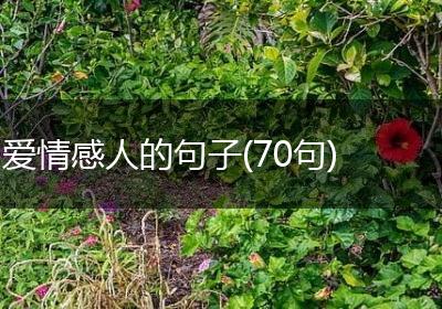爱情感人的句子(70句)