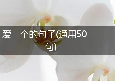 爱一个的句子(通用50句)