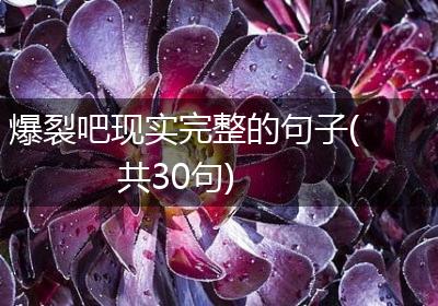 爆裂吧现实完整的句子(共30句)