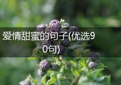 爱情甜蜜的句子(优选90句)