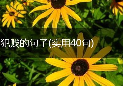 犯贱的句子(实用40句)