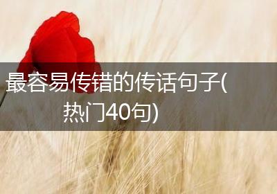 最容易传错的传话句子(热门40句)