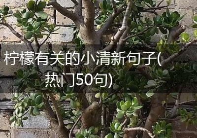 柠檬有关的小清新句子(热门50句)