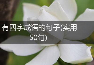 有四字成语的句子(实用50句)