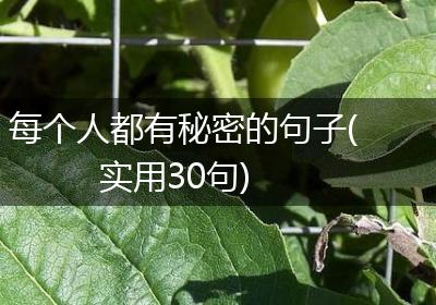 每个人都有秘密的句子(实用30句)