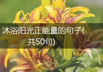 沐浴阳光正能量的句子(共50句)