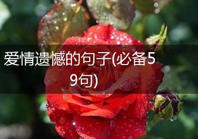 爱情遗憾的句子(必备59句)