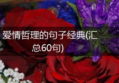 爱情哲理的句子经典(汇总60句)