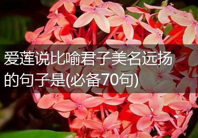 爱莲说比喻君子美名远扬的句子是(必备70句)