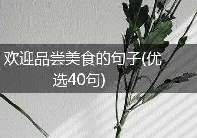 欢迎品尝美食的句子(优选40句)