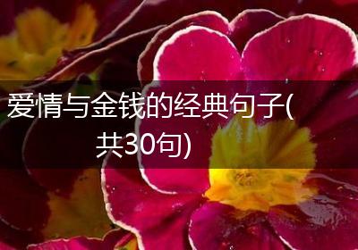 爱情与金钱的经典句子(共30句)