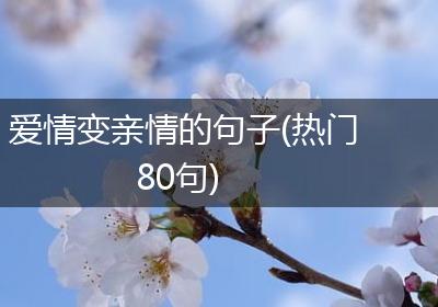 爱情变亲情的句子(热门80句)