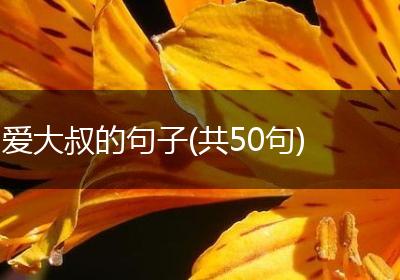 爱大叔的句子(共50句)