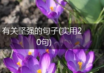 有关坚强的句子(实用20句)