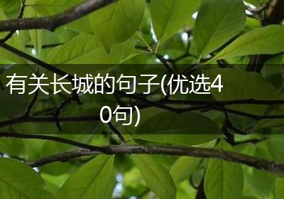 有关长城的句子(优选40句)